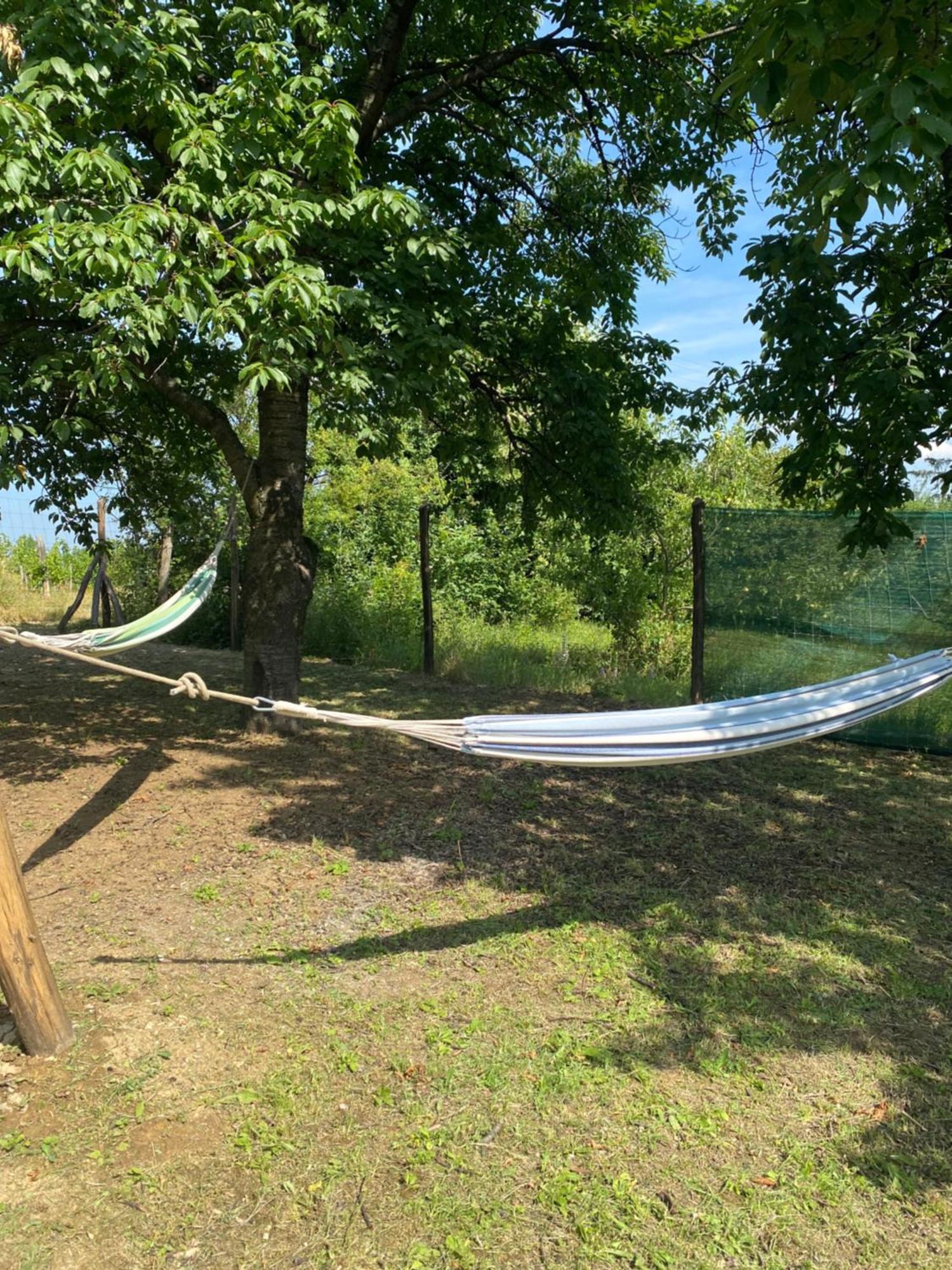 Eged Lodge Eger Kültér fotó